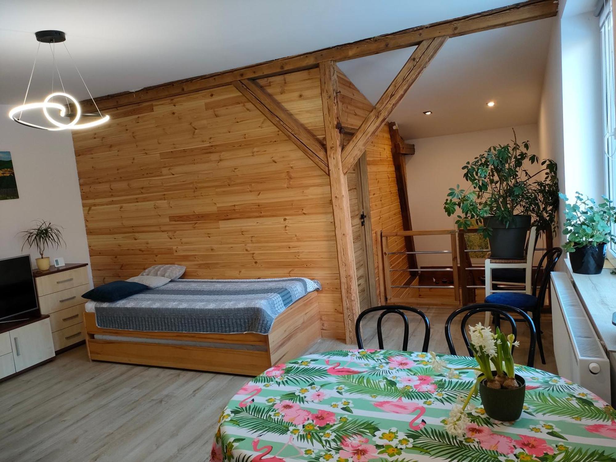 Aparament Brzozowisko Apartment Zelazno  ห้อง รูปภาพ